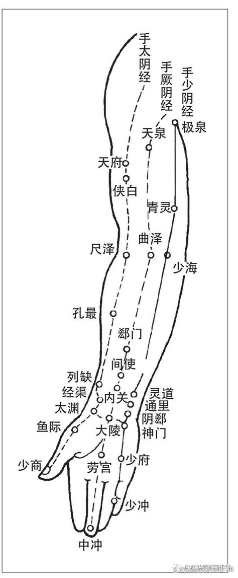 五腧穴位置